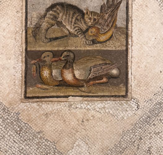 Palazzo Massimo (RM) — Lazio Secrets